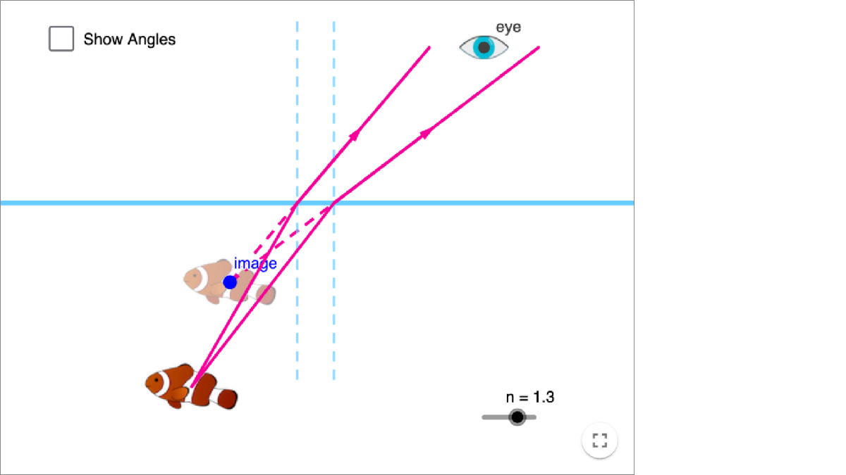Where is the Fish? A Refraction Simulation interactive preview